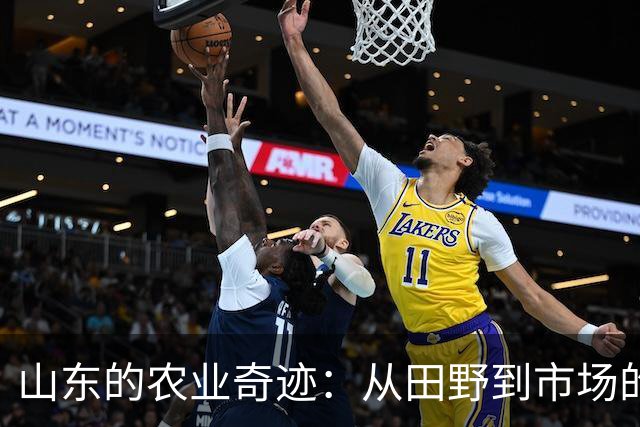 山东的农业奇迹：从田野到市场的“丰”光之路